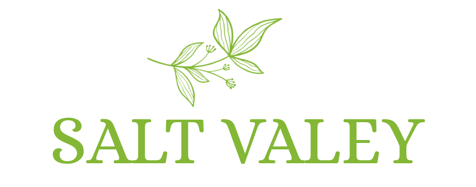 Salt Valey Logo